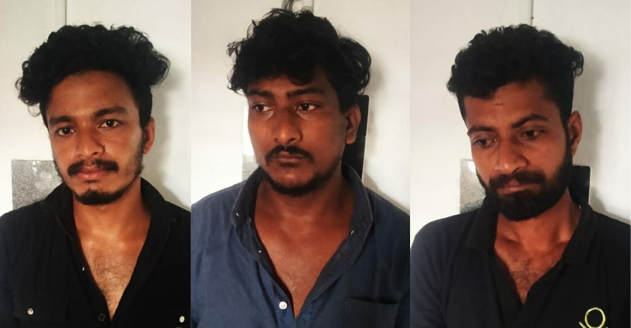 Untitled design - 1 Vyshnav P, Sivan P and Rahul MT were arrested for sandalwood smuggling on Tuesday. Photos: Special arrangement