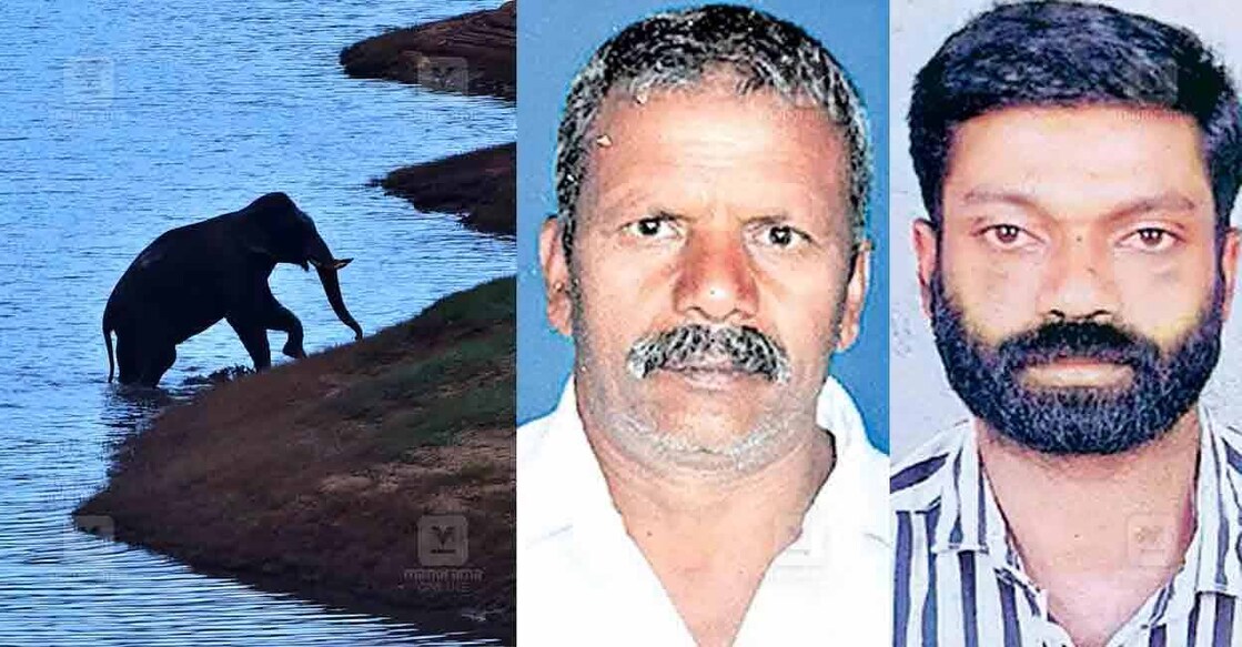 Tusker Chakkakomban (File photo), Gopi, Sajeevan. Photo: Manorama