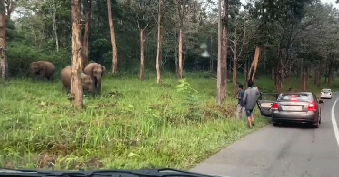 A screengrab from the video shot by other tourists shows the two youths take photographs of a herd of wild elephants in the Kurichiad range in Wayanad.