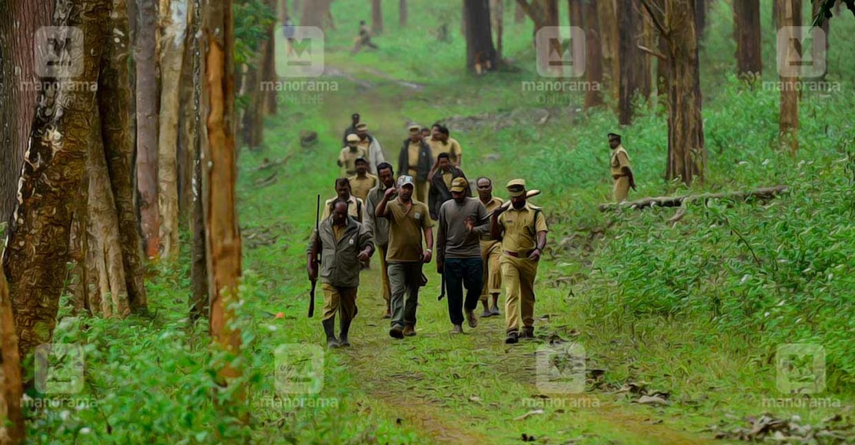 wayanad-forest-officers File Photo: Manorama Online