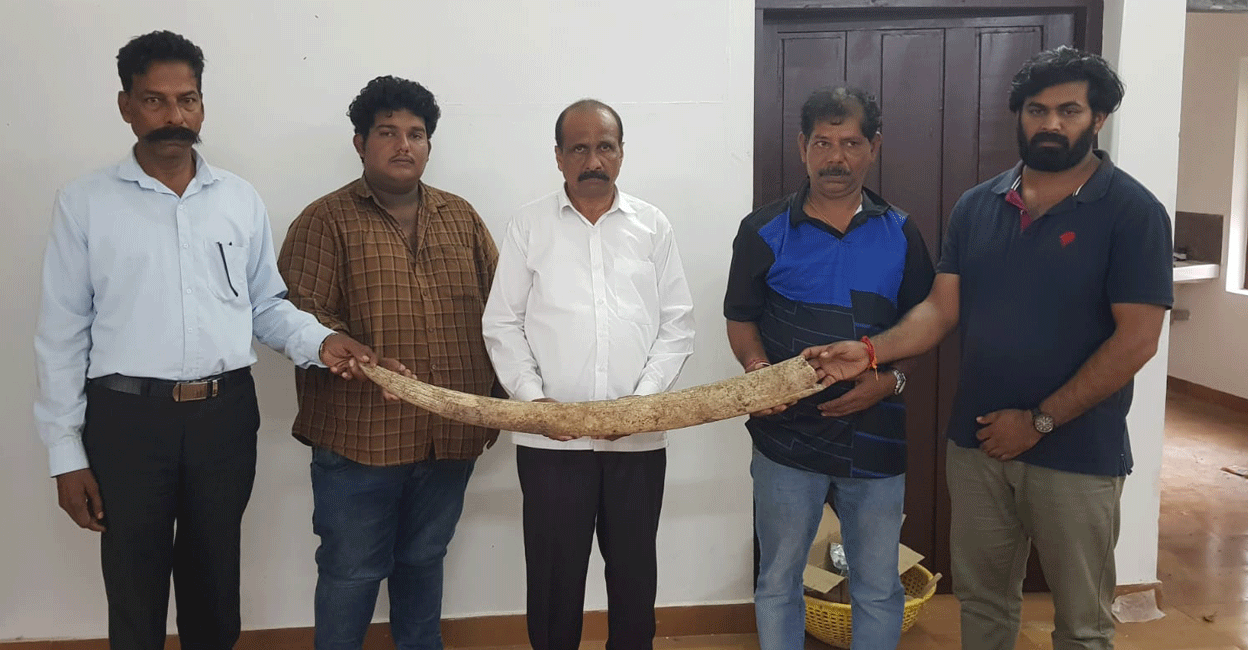 ivory-seizure-wayanad Five of the six accused hold the 5.5kg elephant tusk. Photo: Special arrangement