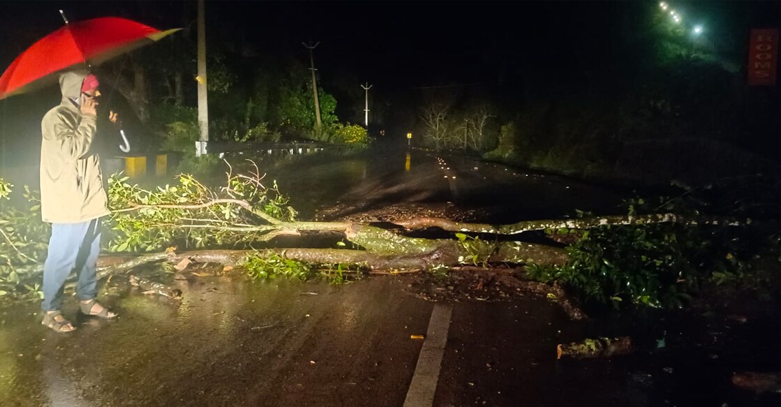A tree fell on Poopara-Bodimettu Road at Choondal on Sunday. Photo: Special Arrangement