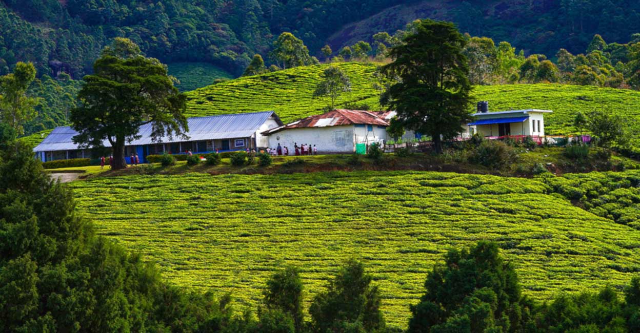 Chinnakanal , Idukki. File Photo: Shutterstock/ Sany Jo