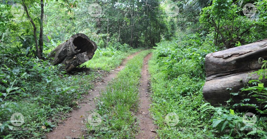 Representational Image: Manorama