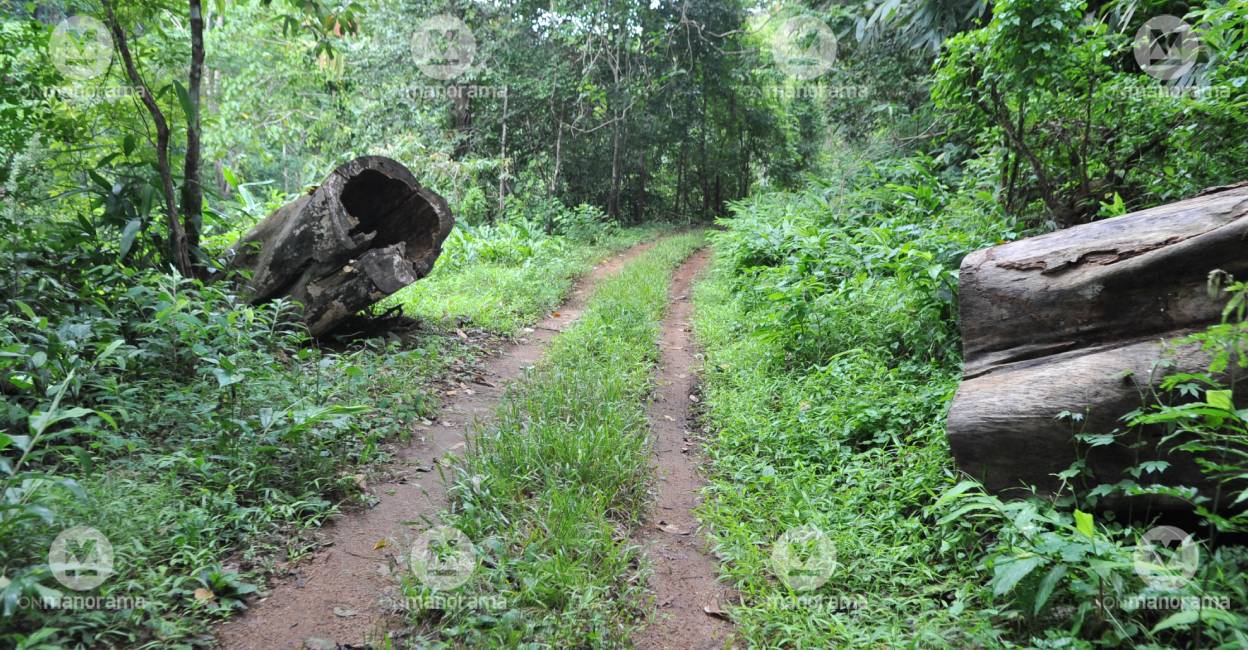 Representational Image: Manorama