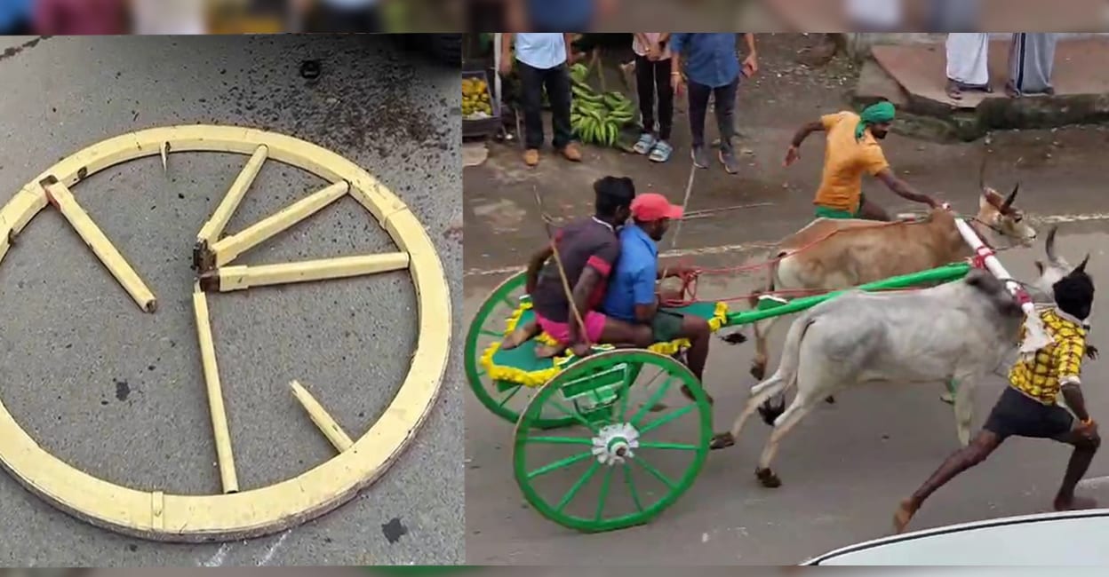 bullocks-kumily-idukki The wheel that came off the cart after collision with the jeep and four handlers trying to bring a speeding bull pulling the cart under control