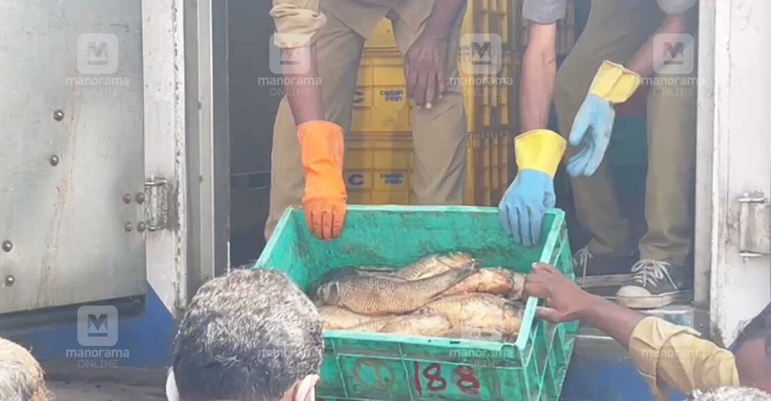 fish-kochi