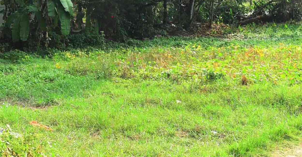 Fair value is the estimated price at which an asset is bought or sold. Photo: Manorama Online