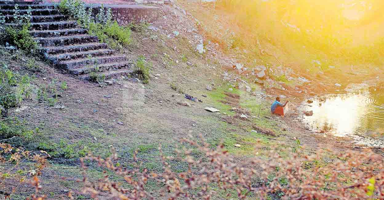 A pond in Kottekad, Palakkad dries up in the intense summer heat. Image: Manorama