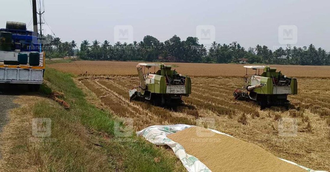 CPM workers interrupt paddy harvesting at Edathua paddy field in Kuttanad. Photo: Malayala Manorama