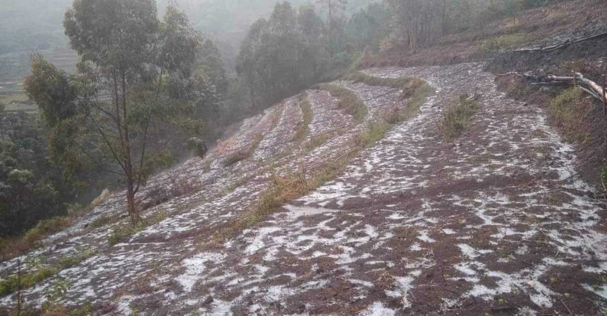 hailstorm-vattavada A hailstorm was reported from the Swamiyalakudi Ooru at Vattavada village in the Idukki district on Friday, March 17, 2023. Photo: Manorama