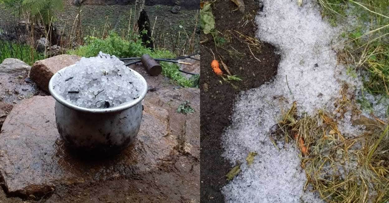 Hailstorm A hailstorm was reported from the Swamiyalakudi Ooru at Vattavada village in the Idukki district on Friday, March 17, 2023. Photo: Manorama