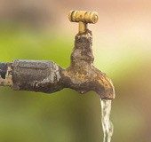 Successful micro-irrigation project to be replicated in seven more districts in Kerala