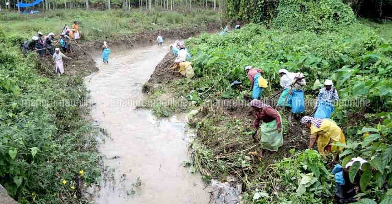 Women employed under the work under the Mahatma Gandhi National Rural Employment Guarantee Scheme (MGNREGA). Representatinal image: Manorama