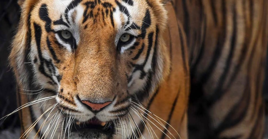 Representational image. File photo: AFP/ Dibyangshu Sarkar