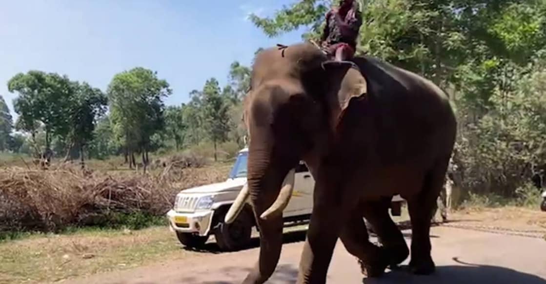 Kumkis shfted  to 301 colony. Photo: Manorama News