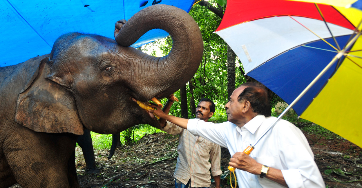 Gemini Sankaran with a circus elephant. File photo: Manorama