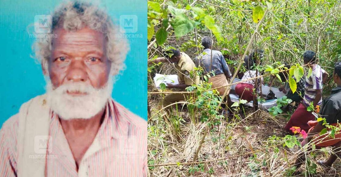Rankan went missing after he went into the forest to collect cashews. Photo: Manorama Online