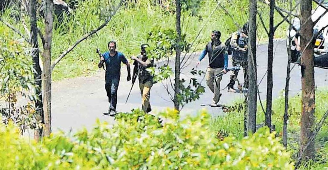 Arikomban capitulated before Dr Zachariah a day after the capture mission commenced at Chinnakanal. Photo: Manorama