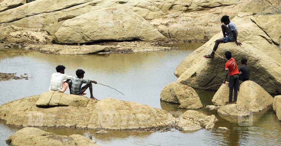 children-kabani-river-summer ചൂടിൽ ജലനിരപ്പ് താഴ്ന്ന കബനി നദിയിൽ ചൂണ്ടയിടുന്ന കുട്ടികൾ. ചിത്രം: ജിതിൻ ജോയൽ ഹാരിം ∙ മനോരമ
