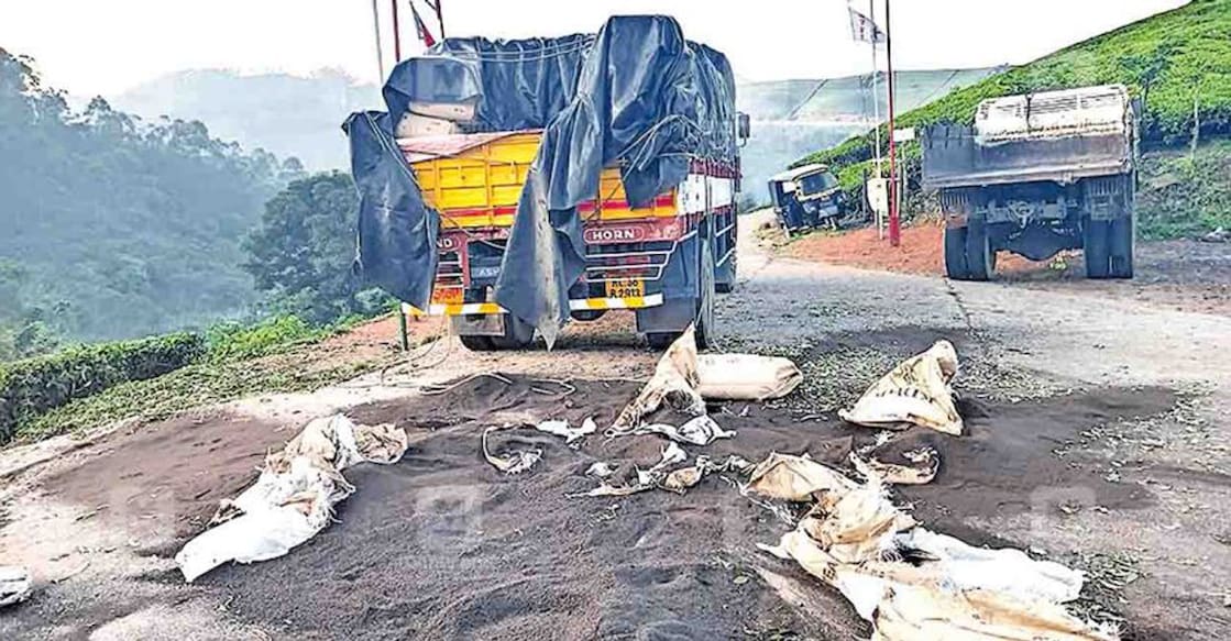 The elephant threw out the sacks of tea after tearing open the tarpaulin cover on the lorry. Photo: Manorama