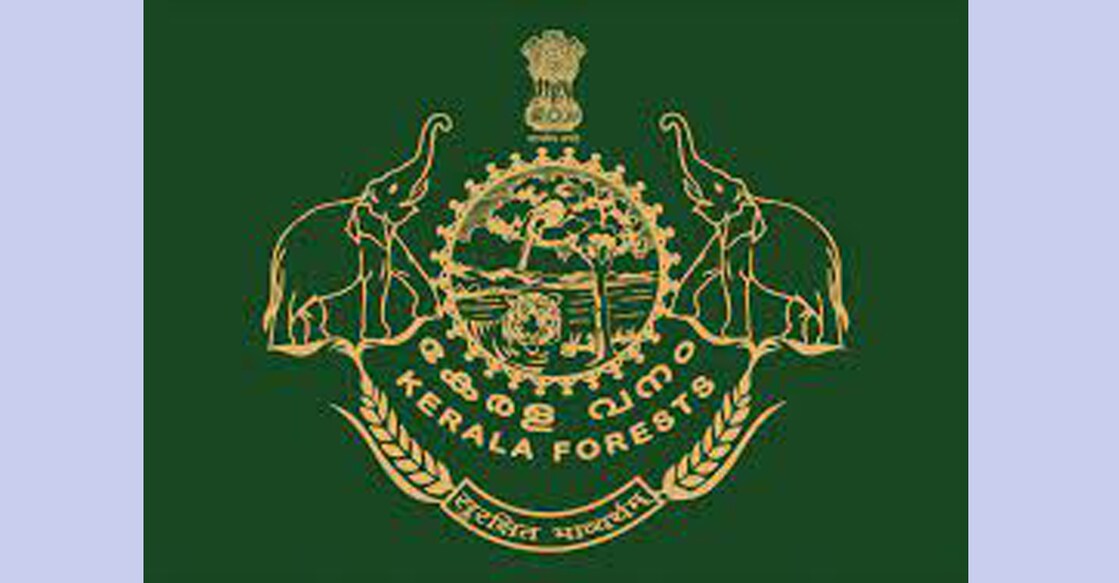 Representational image.