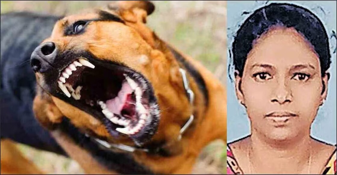 Representational Image (left) and Stephin V Pereira (right). Photo: Manorama