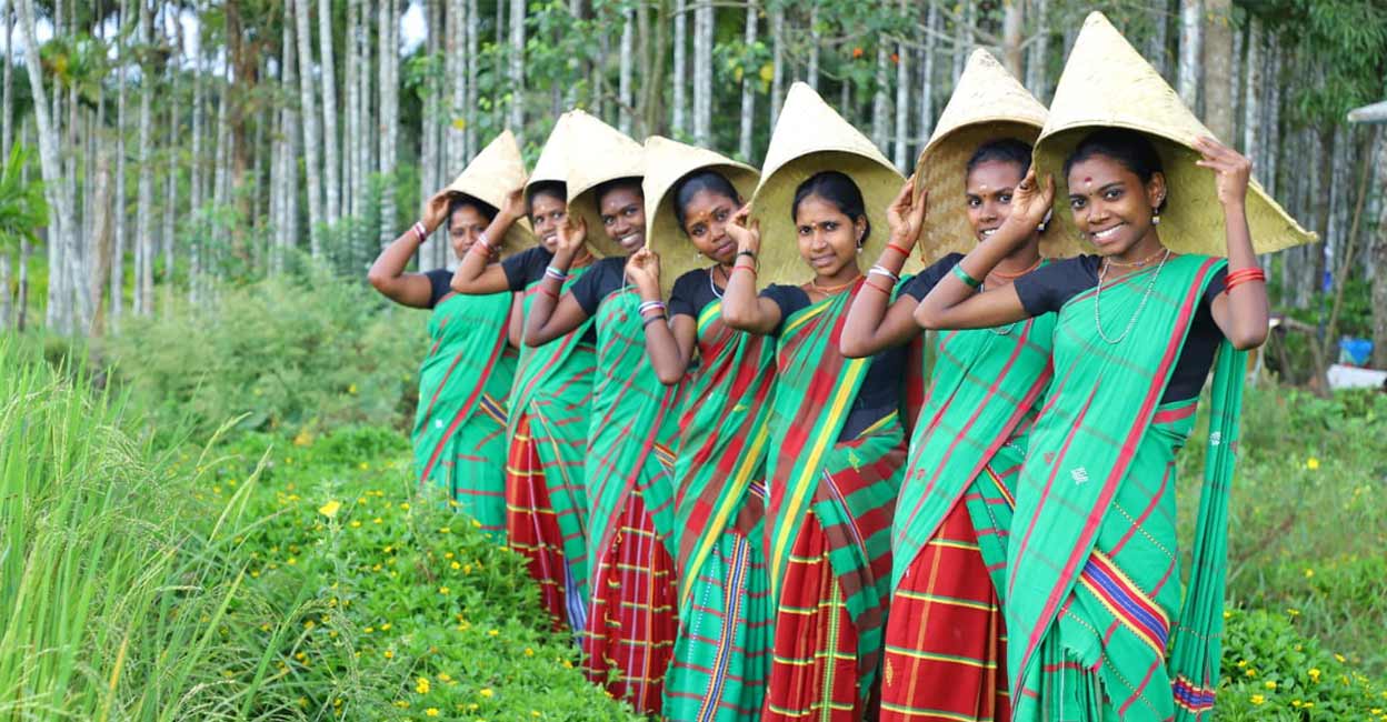 wayanad-music2 Youngsters from 'Thudithalam' group perform while collecting tender paddy leaves for Kambalanatti, a planting festival. Photo: Special arrangement