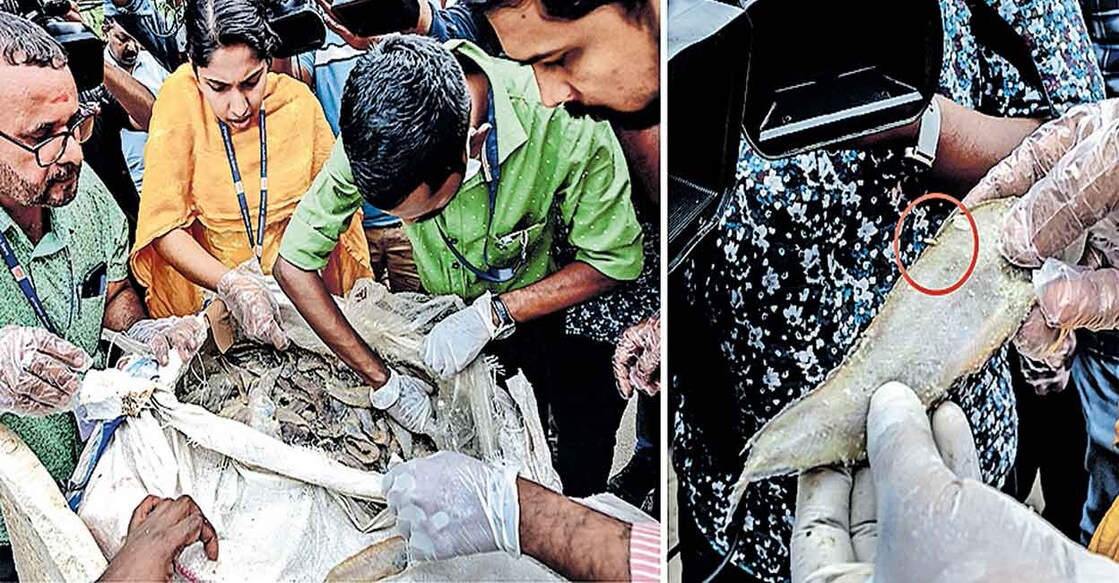 Food Safety Department officials inspect the load of stale fish that was offloaded at Thrissur railway station. Photo: Manorama