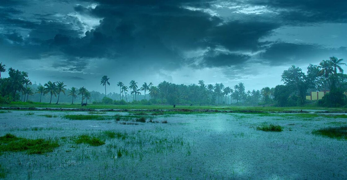 IMD has also issued a warning on isolated very heavy rainfall till June 28. Photo: Shutterstock/Milju varghese