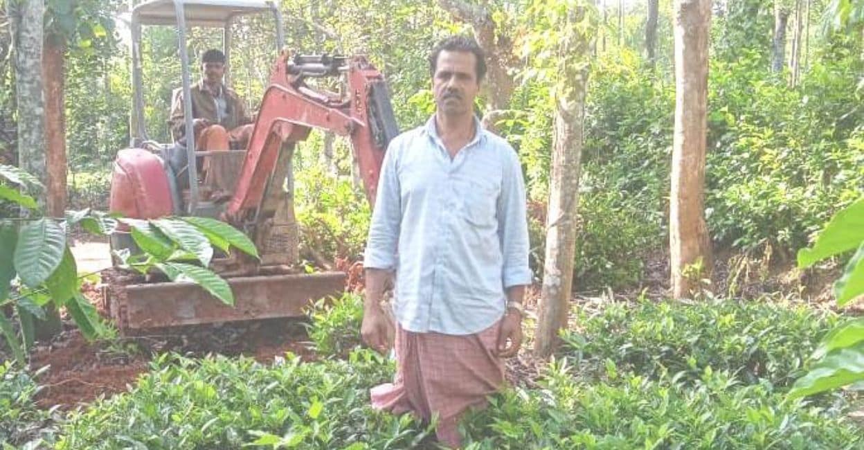 tea-plantation-3 Farmer Shaji Muttappalli of Erumad in his farm where tea plants are being uprooted to plant coffee. Photo: Special Arrangement