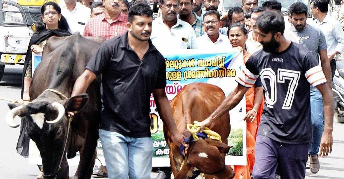 Dairy farmers have already organised varied protests across the district urging the state government to 'check the threat to the agrarian milk economy'. Photo: Special Arrangement