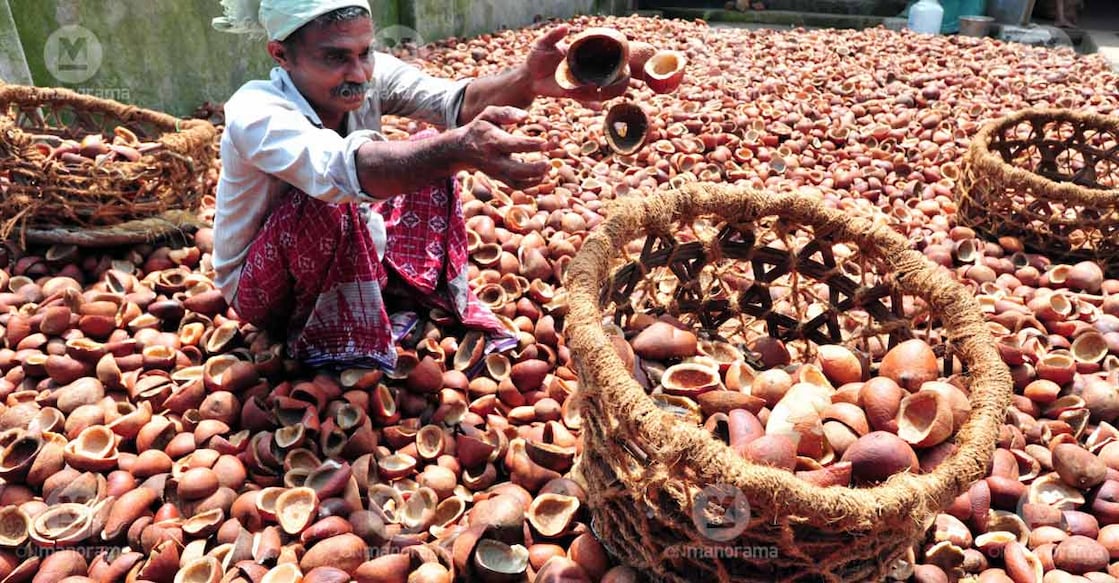 Copra Bazar in Kozhikode. File photo: Manorama/James Arpookara