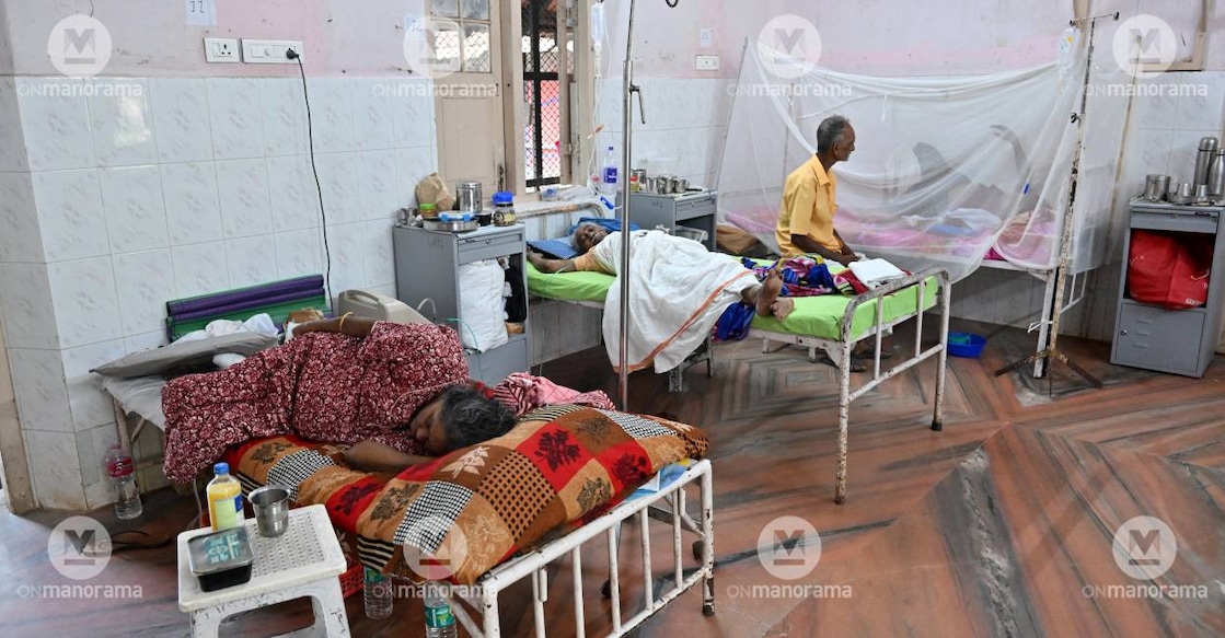 Death toll in fever cases touched 86 in Kerala. Photo : Manorama