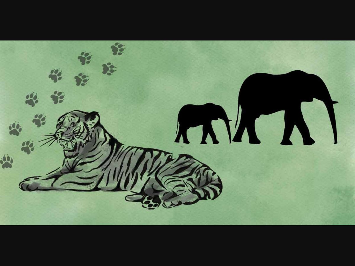 Wild animals entering human territory like never before; Tigers, elephants  top intruders - KERALA - GENERAL