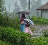 IMD predicts heavy rainfall in Kerala; yellow alert in 7 districts today