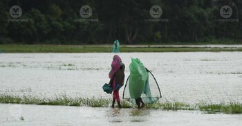 Wayanad lifts ban on tourism activities as rains ease; allows entry to Chooralmala, Mundakkai areas