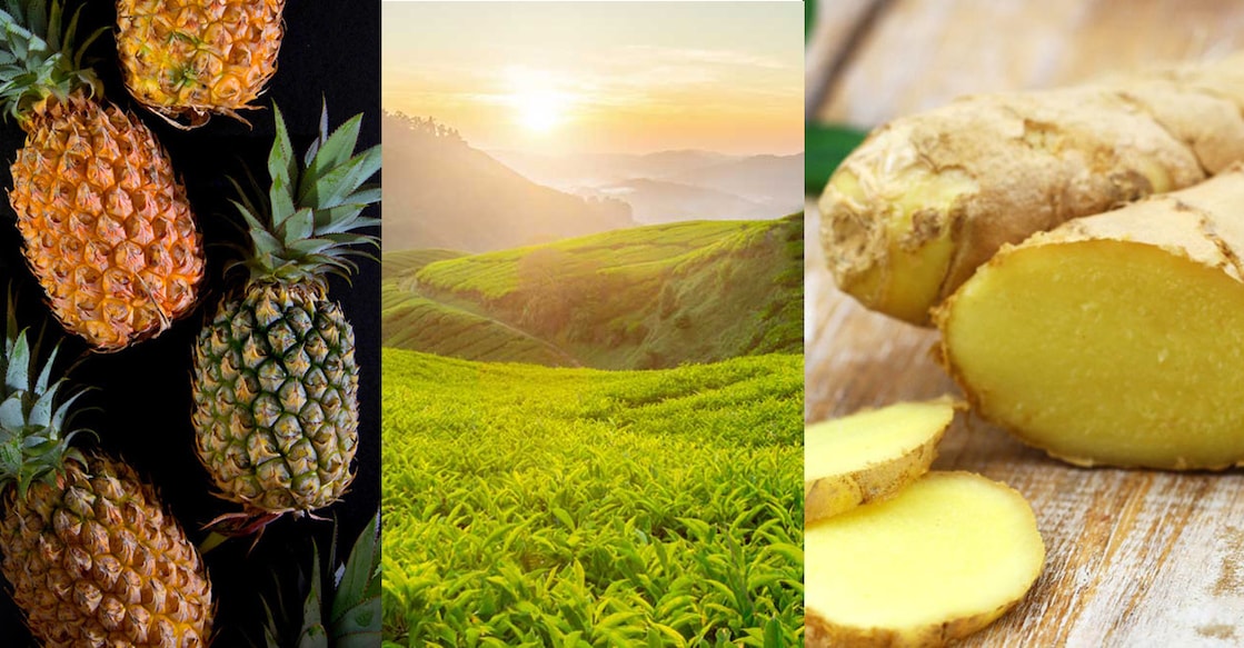 pineapple-ginger-tea-main The Central scheme pays compensation for even a shortfall in crops, after studying the variation in weather in the affected area. Photo: iStock