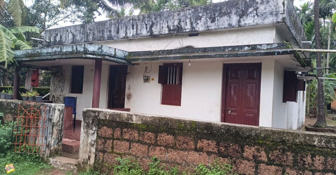 Police said the woman drowned her daughter in sludge in a paddy field near her house (in pic). Photo: Special Arrangement