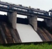 Incessant rain warning: Shutter of Kanjirapuzha Dam raised by 5 cm 