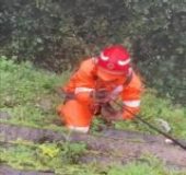 Fire and Rescue team goes on iPhone hunt after raid by ganger monkeys in Wayanad