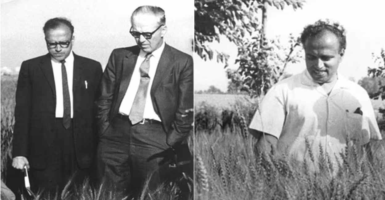 swaminathan-norman-bourlagh DR MS Swaminathan with Dr Norman E Borlaug. File photo: Website/www.mssrf.org