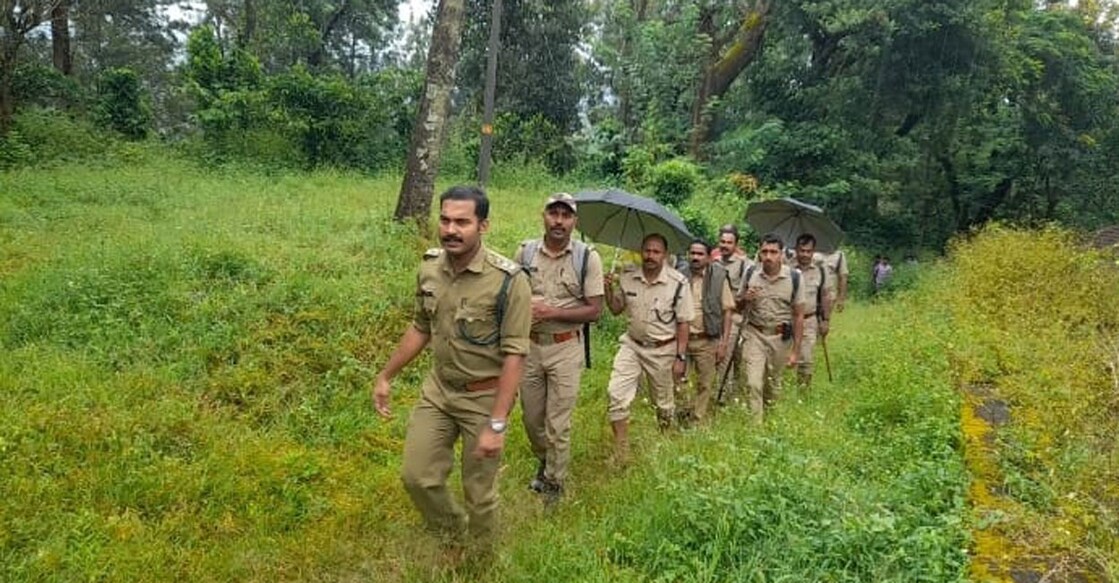 tiger-search-wayanad Forest Department officials and guards combing through plantations in Thirunelli in Wayand. Photo: Special arrangement