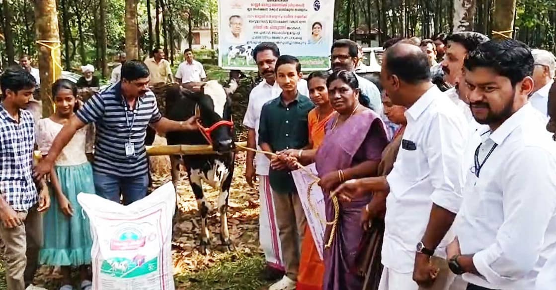 chinchu-rani-mathew-benny-ls J Chinchu Rani, Kerala's Minister for Animal Husbandry and Dairy Development, handed over five high-yielding cows to Mathew Benny. Photo: Special arrangement.