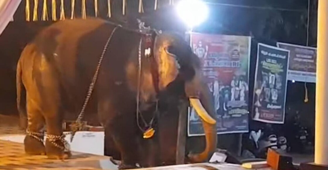The elephant ran amok around midnight at the temple. Photo: Screengrab/ Manorama News