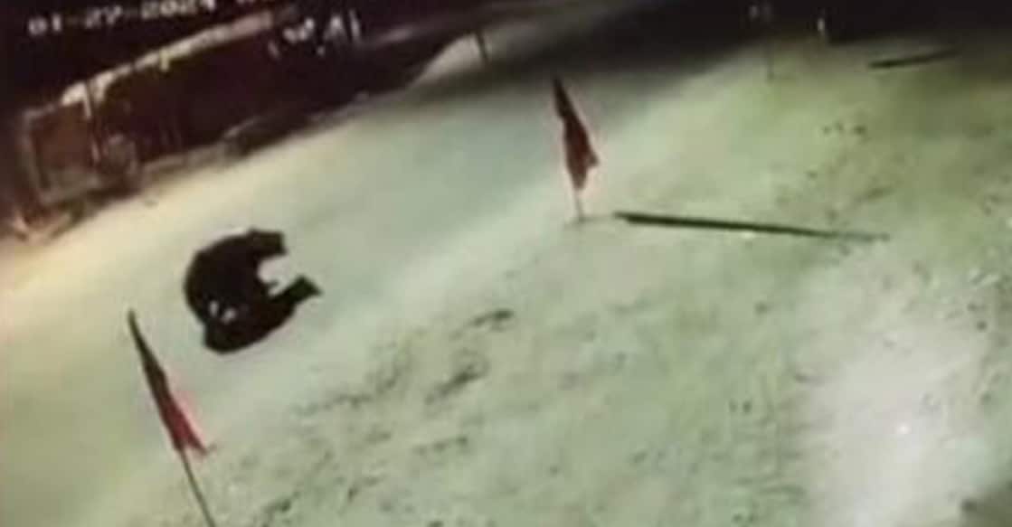 The images of a bear were found in CCTV visuals of the Court Complex in Sulthan Batheri on Friday night. Photo: Special arrangement