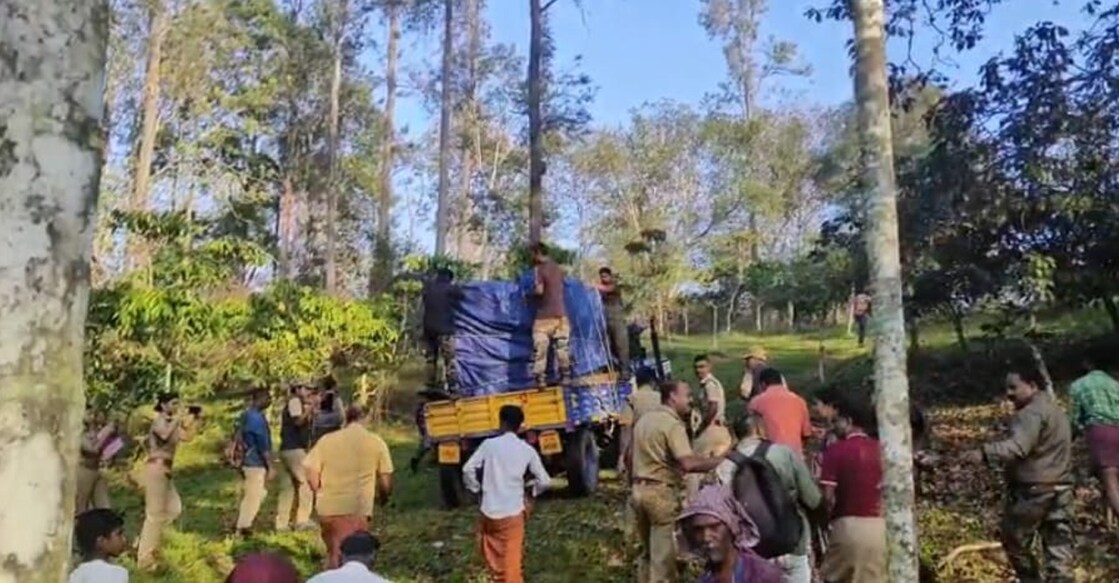 As the animal is very agitated, the forest guards have kept the cage covered. Photo: Manorama News