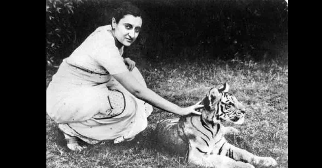indira-gandhi-tiger-cub Indira Gandhi with tiger cub. File photo: INC archives