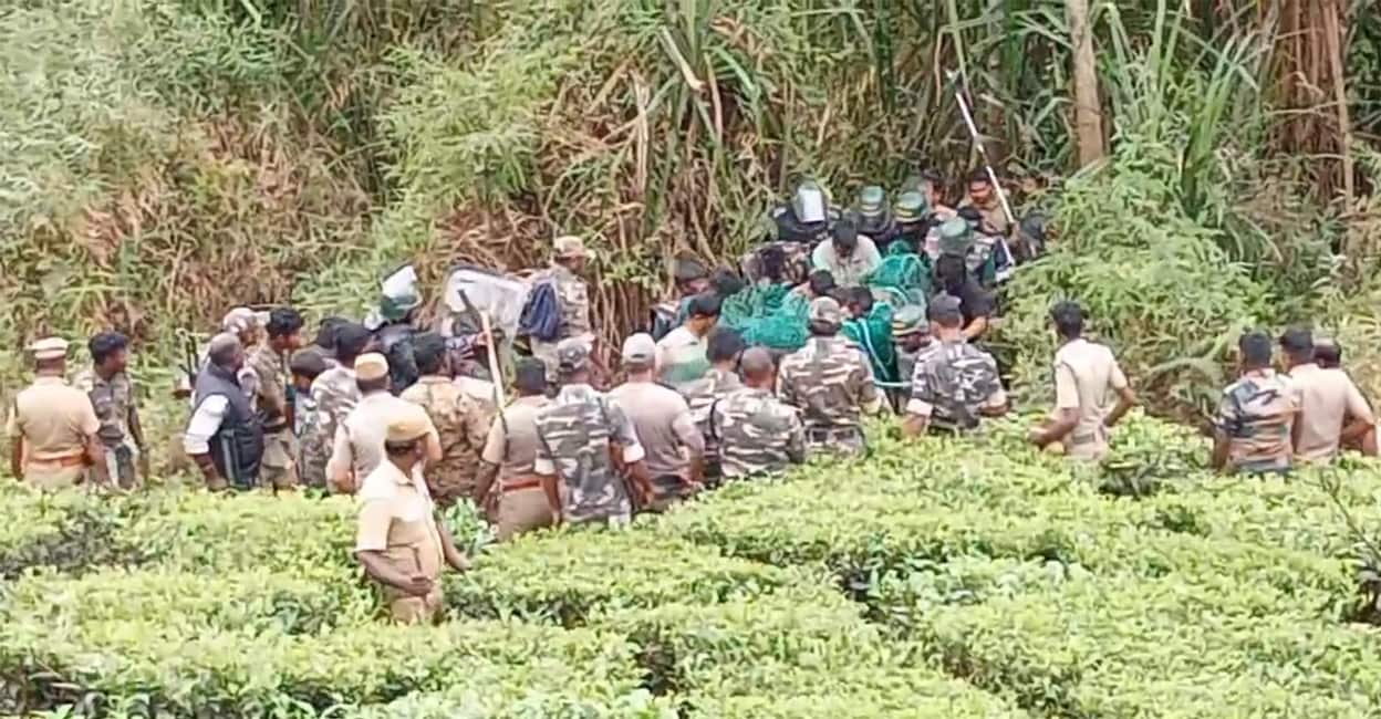 forest-dept-catches-nilgiri-leopard The forest department captured the problem animal near the Ambrose Curve in Nilgiris. Photo: Special arrangements