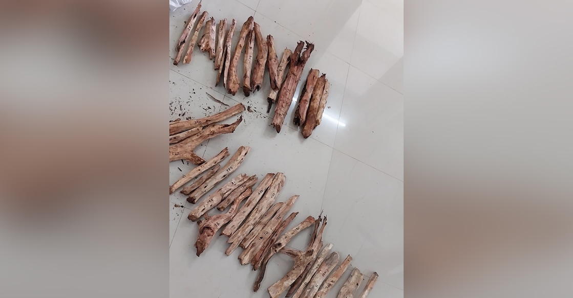 sandalwood The seized sandalwood weighing 12.66 kg. Photo: Special Arrangement